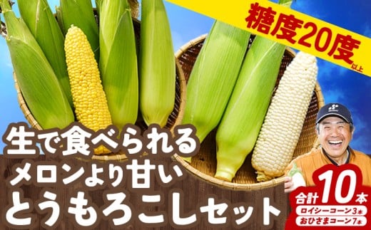 【2026年先行予約】 とうもろこし2種セット 合計10本(おひさまコーン7本、ロイシーコーン3本) 元木農場《8月下旬-9月中旬より発送(土日祝除く)》 北海道十勝浦幌町産 生でも食べられる