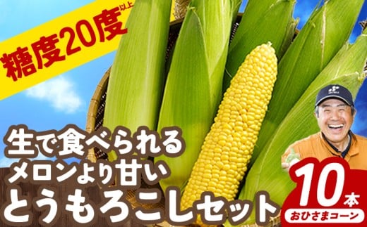 【2026年先行予約】 とうもろこし10本 おひさまコーン 元木農場《8月中旬-9月中旬より発送(土日祝除く) 北海道 十勝 浦幌町産 生でも食べられる糖度20度以上 朝もぎたてとうもろこし 朝採り