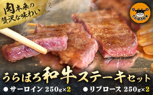  ق a Xe[L T[C 250g × 2 u[X 250g × 2 Zbg JAق YyaǑg kC \S Yy a    Xe[L јa st-pkCYy43000