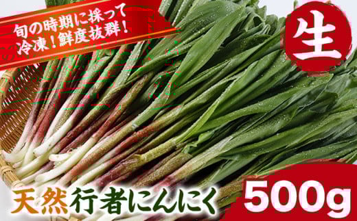s\ VRs҂ɂɂ500g s4{珇(yj)tkC Yy R 󏭎 ҃jjN ̎R R R̍K  J N st-pkCYy13000؁Ê