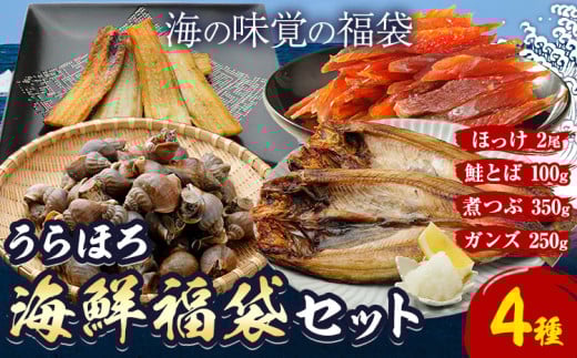 うらほろ海鮮 福袋セット 4種 とば100g がんず250g 煮つぶ350g ホッケ2尾 北海道産《60日以内に出荷予定(土日祝除く)》北海道 浦幌町 山本商店 海鮮 福袋 鮭とば ガンズ 煮つぶ ほっけ北海道浦幌