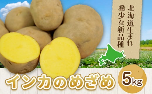 インカのめざめ 5kg じゃがいも 飯山農場《30日以内に出荷予定(土日祝除く)》芋 ジャガイモ 野菜  北海道 浦幌町 st-p北海道浦幌町8000野菜・きのこじゃがいも・イモ類