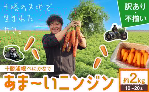 甘〜いニンジン 十勝 浦幌べにかなで 【訳あり・不揃い】 約2kg 10〜20本 農事組合法人レギューム《12月上旬から5月上旬頃出荷》北海道 浦幌町 人参 にんじん 安心 安全 野菜 お野菜 やさい