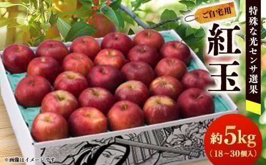 <ご自宅用 紅玉 令和7年9月下旬〜発送>約5k(18〜30個入)黒昇会DB箱入 特殊な光センサ選果【1328602】青森県黒石市14000果物・フルーツりんご・梨