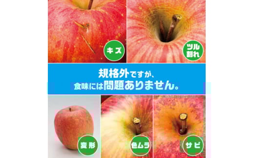 <R7年11月上旬〜発送開始>内容量 約10Kg 訳ありりんご シナノスイート 24〜46個入_りんご リンゴ 林檎 シナノスイート 訳あり 家庭用 青森県産 果物 フルーツ 美味しい 人気 【1333054】