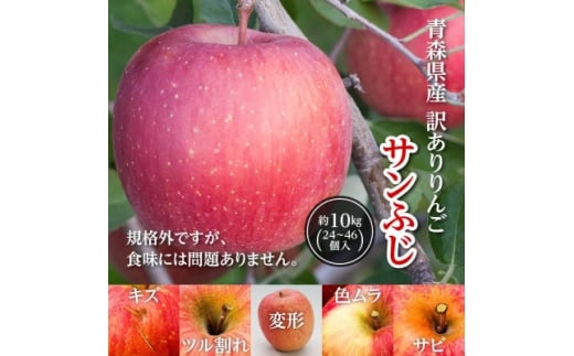 今年も約10kgお届けします! 訳ありりんご「サンふじ」24〜46個入<R7年12月中旬〜発送開始>【1333055】青森県黒石市17000果物・フルーツりんご・梨