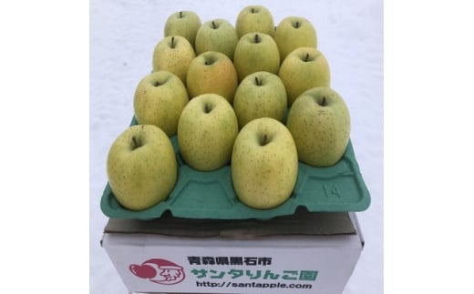 甘い青りんごの定番 青森県産 王林 贈答用 約5キロ 農家直送【1430915】青森県黒石市16000果物・フルーツりんご・梨