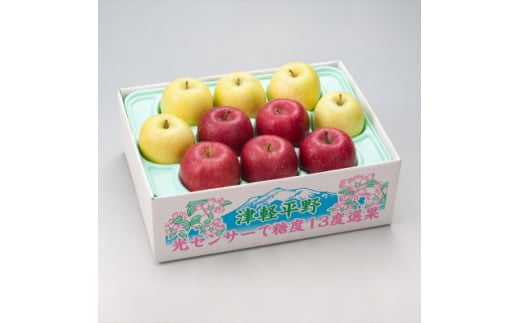<令和7年産・先行予約>糖度13度選果 サンふじ&王林 約2.5kg 鮮度保持剤・保存用ポリ袋付【1508209】青森県黒石市14000果物・フルーツりんご・梨