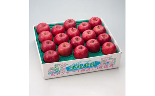 <令和7年産・先行予約>糖度13度選果 サンふじ 約4.3kg 鮮度保持剤・保存用ポリ袋付【1508211】青森県黒石市19000果物・フルーツりんご・梨