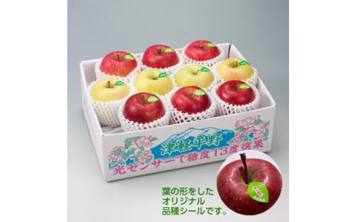 <令和7年産・先行予約>糖度13度選果 シナノスイート&名月&サンふじ りんご3種 約2.5kg【1508221】青森県黒石市14000果物・フルーツりんご・梨