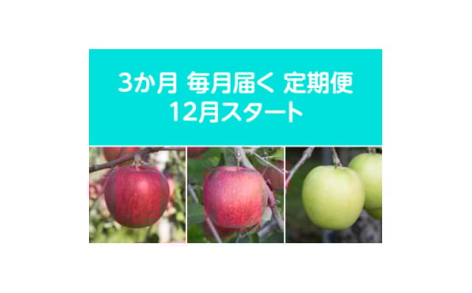 <発送月固定定期便>〈2025年12月より順次発送〉甘味系・青森県産りんご約5kg 全3回【4051696】青森県黒石市62000果物・フルーツりんご・梨