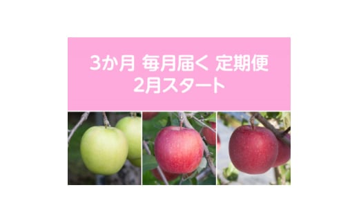 <発送月固定定期便>〈2026年2月より順次発送〉甘味系・青森りんご約5kg 全3回【4051698】青森県黒石市62000果物・フルーツりんご・梨