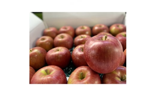 <令和8年4月下旬〜発送予定>訳あり品 シャキッと甘い<シナノスイート>5kg(13〜20個)【1513888】青森県黒石市15000果物・フルーツりんご・梨