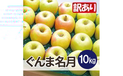<26年4月より順次発送>平均糖度13度以上! ぐんま名月 約10kg 訳あり  クール便【1610323】青森県黒石市19000果物・フルーツりんご・梨