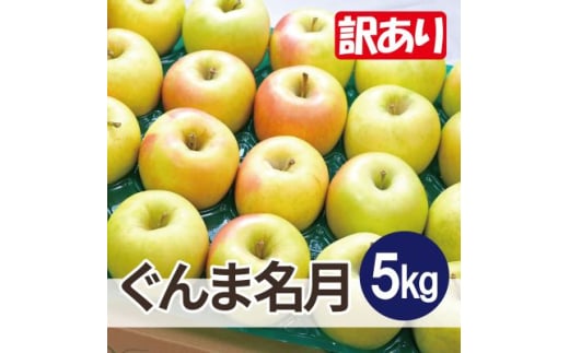 <26年4月より順次発送>平均糖度13度以上! ぐんま名月 約5kg 訳あり  クール便【1610325】青森県黒石市13000果物・フルーツりんご・梨