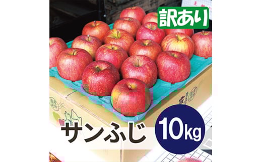 平均糖度13度以上! サンふじ 約10kg 訳あり  クール便【1611229】青森県黒石市22000果物・フルーツりんご・梨