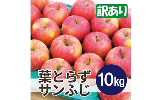 平均糖度13度以上! 葉とらずサンふじ 約10kg 訳あり【1611292】青森県黒石市19000果物・フルーツりんご・梨