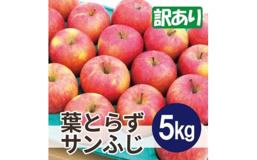 平均糖度13度以上! 葉とらずサンふじ 約5kg 訳あり【1611293】青森県黒石市13000果物・フルーツりんご・梨