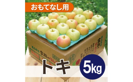 平均糖度13度以上! トキ 約5kg おもてなし用【1611809】青森県黒石市15000果物・フルーツりんご・梨