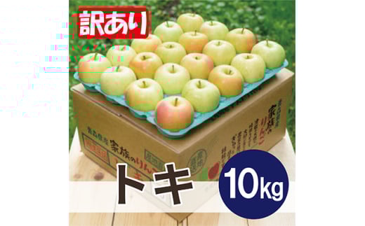 平均糖度13度以上! トキ 約10kg 訳あり【1611810】青森県黒石市14000果物・フルーツりんご・梨