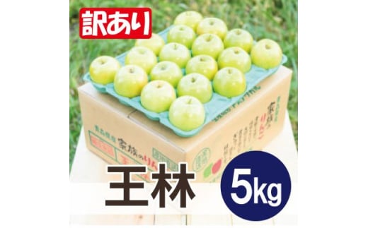 ϓx13xȏ!  5kg 󂠂y1611815zXΎs11000ʕEt[c񂲁E