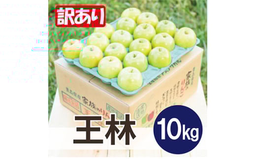 ϓx13xȏ!  10kg 󂠂  N[ցy1611828zXΎs18000ʕEt[c񂲁E