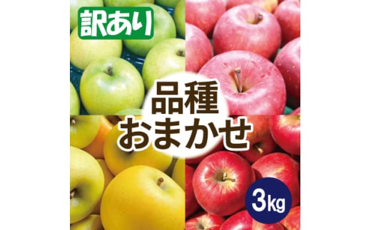 りんご 品種おまかせ 約3kg 訳あり【1613251】青森県黒石市10000果物・フルーツりんご・梨