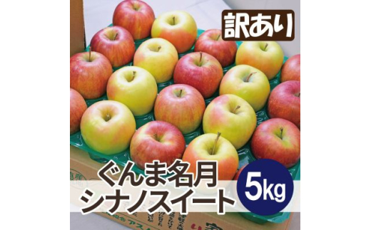 糖度13度以上保証! ぐんま名月×シナノスイート 約5kg 訳あり【1613317】青森県黒石市12000果物・フルーツりんご・梨