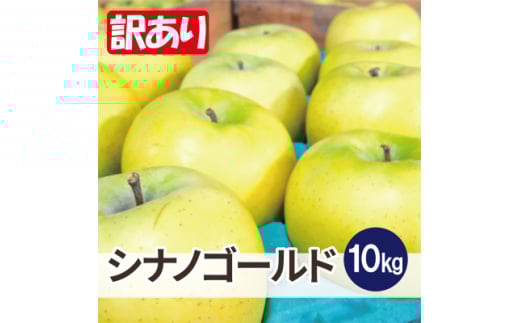 平均糖度13度以上! シナノゴールド 約10kg 訳あり【1610222】青森県黒石市16000果物・フルーツりんご・梨