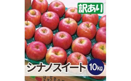 平均糖度13度以上! シナノスイート 約10kg 訳あり【1626695】青森県黒石市17000果物・フルーツりんご・梨
