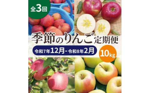 <発送月固定定期便>青森りんご 訳あり 品種おまかせ 10kg 12月〜2月全3回【4067595】青森県黒石市49000果物・フルーツりんご・梨