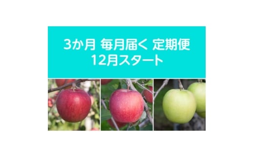 <発送月固定定期便>〈2025年12月より順次発送〉甘味系・青森県産りんご約3kg全3回【4068087】青森県黒石市41000果物・フルーツりんご・梨