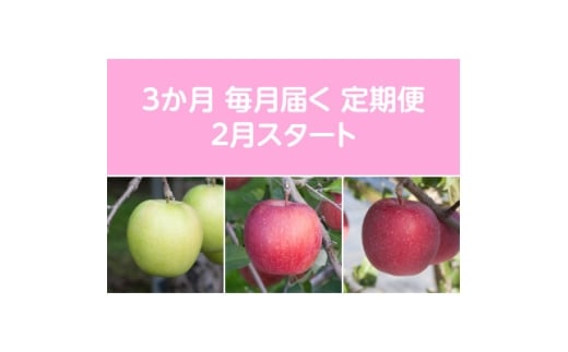 <発送月固定定期便>〈2026年2月より順次発送〉甘味系・青森りんご約3kg全3回【4068097】青森県黒石市41000果物・フルーツりんご・梨