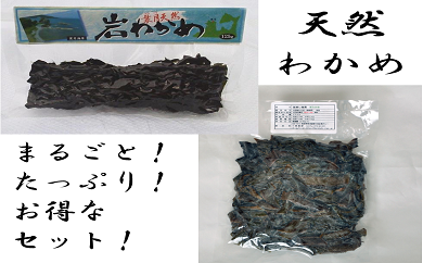 ܌YuVRv킩ߊۂƃZbgXʒ12000ECŶEC