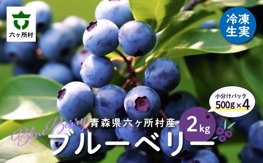 《先行予約 2026年8月中旬〜順次出荷》 青森県 六ヶ所村産 ブルーベリー 冷凍生実 2kg青森県六ヶ所村14000果物・フルーツマスカット・ぶどう