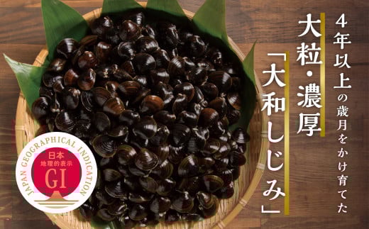 青森県 小川原湖産 冷凍 大和しじみLサイズ  1.5s(150g×10パック)青森県六ヶ所村13000魚介・海産物貝類