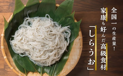 青森県 小川原湖産 冷凍 しらうお 1kg青森県六ヶ所村13000魚介・海産物貝類