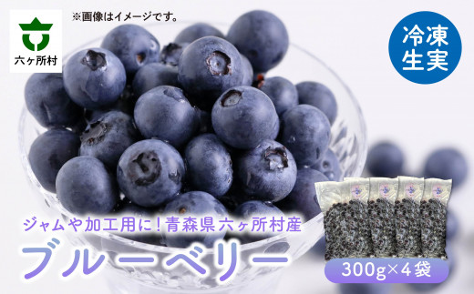 《先行予約 2026年7月下旬〜順次出荷》冷凍ブルーベリー300g×4袋青森県六ヶ所村10000果物・フルーツその他 果物・フルーツ