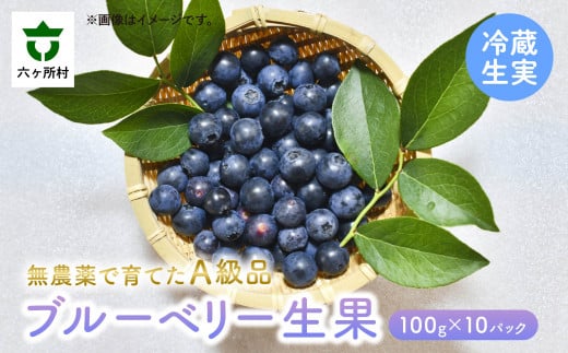 《先行予約 2026年7月下旬〜順次出荷》ブルーベリー生実 A級品 1kg 100g×10パック青森県六ヶ所村18000果物・フルーツその他 果物・フルーツ