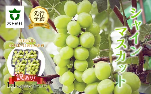 《先行予約》2025年10月末〜11月上旬発送 シャインマスカット1.4kg青森県六ヶ所村13000果物・フルーツマスカット・ぶどう