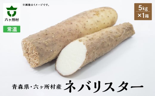 《先行予約》2025年12月中旬〜発送開始 ネバリスター 5s×1箱青森県六ヶ所村13000野菜・きのこ大根・ニンジン・根菜類