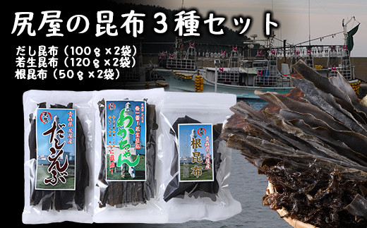 yA-02-04zK̍zRZbgXʑ10000ECŶEC