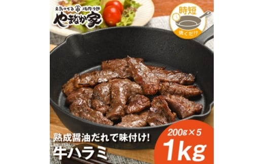やまなか家の旨みたっぷり牛ハラミ<熟成醤油だれ>1kg(K2-025)【1405431】岩手県17000肉牛肉