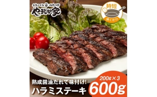 v~AɌn~Xe[Lnݖꁄ600g (K2-026)y1405440z茧15000