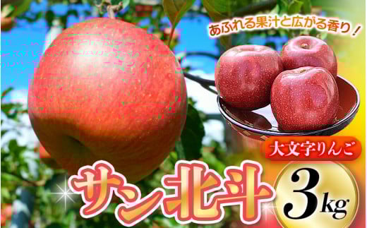 y10{菇z啶񂲉 Tkl 3kg (7`10) / ㊮n  S ь ʕ  t[c Â { Yn ydma513-sh-3Dz茧15000ʕEt[c