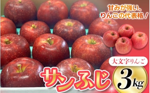 ≪12月上旬より順次発送≫ 『数量限定』 大文字りんご園 サンふじ 約3kg (中玉7〜10玉) / 樹上完熟 りんご リンゴ 林檎 果物 くだもの フルーツ 甘い 旬 産地直送【dma513-sf-3C】岩手県平泉町15000