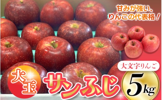 ≪12月末までの受付*無くなり次第終了≫【12月上旬より順次発送】大文字りんご(サンフジ) 大玉サイズ 約5kg (約10〜12玉)  樹上完熟 りんご リンゴ 林檎 果物 くだもの フルーツ 甘い 旬 産地