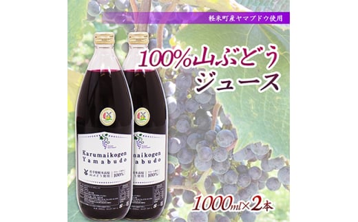 yĒY}uhEgp100%RԂǂW[X@1000ml×2{y1101956z茧yĒ22000Eʏ`E؈