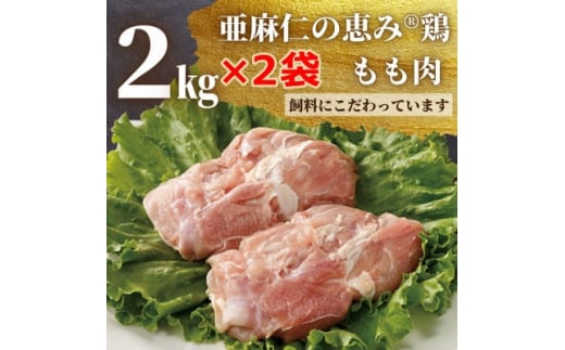 mzňƂm̌b(R){@@2kg×2܁y1111019z茧yĒ19000{