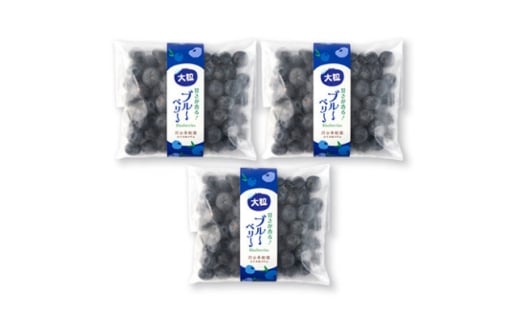 軽米町産<完熟大粒ブルーベリー>冷凍 300g×3袋(合計約900g)【1675299】岩手県軽米町19000果物・フルーツその他 果物・フルーツ